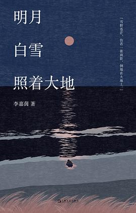 明月白雪照着大地
